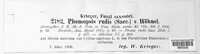 Diaporthe rudis image